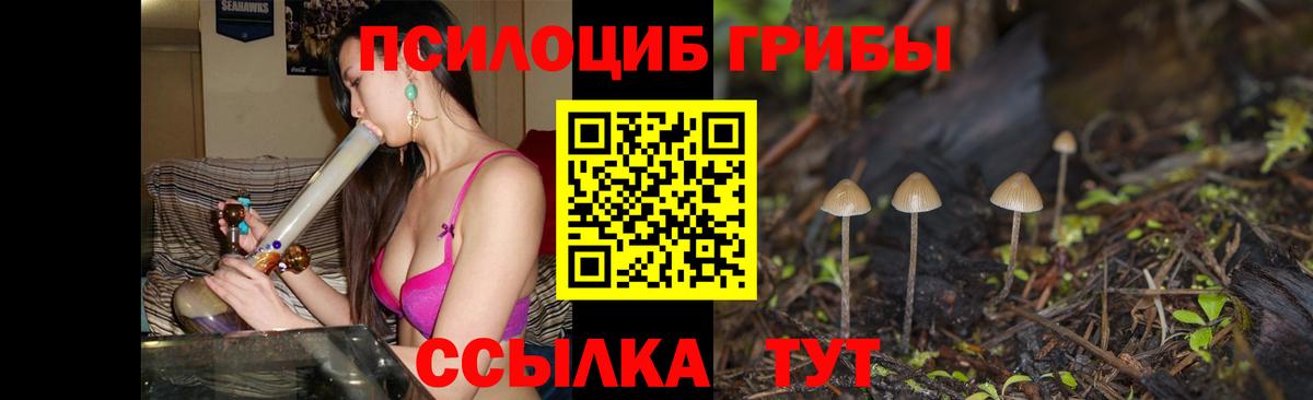Обь  Псилоцибиновые грибы Magic Shrooms  Вход с VPN  Галлюциногенные грибы Magic Shrooms 